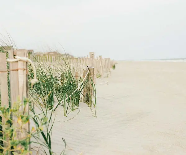 Sand Dune fence on the coast of Edisto Island SC
